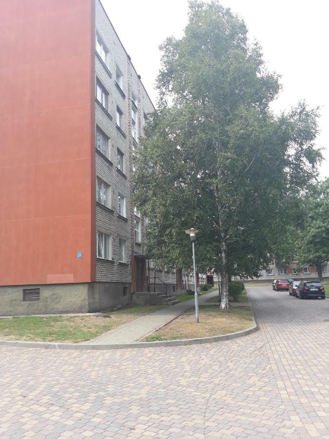Talsu Iela 24 * Вентспилс